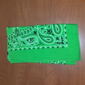 Vtg Hav-A-Hank Green Paisley Cotton Bandana Made in USA